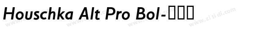 Houschka Alt Pro Bol字体转换